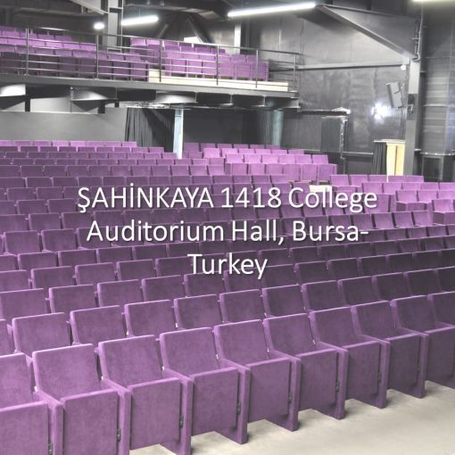 Opsiyon